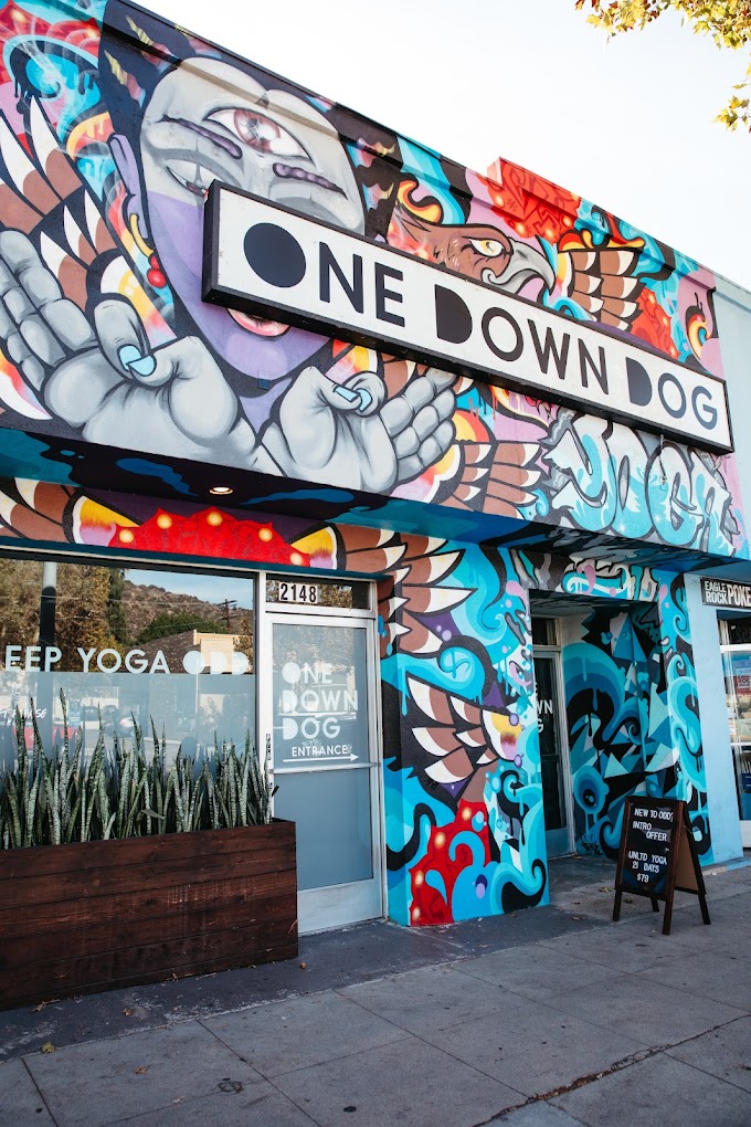 One Down Dog | Yoga + Fitness Studio